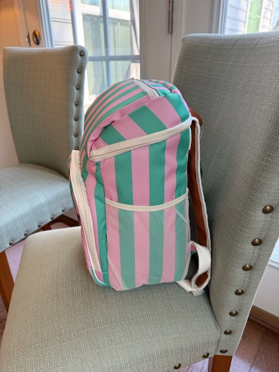 STANLEY 40oz Tumbler & ‘Cool Planet’ Cooler Backpack in Pink & Green - NWT - Picture 5 of 13